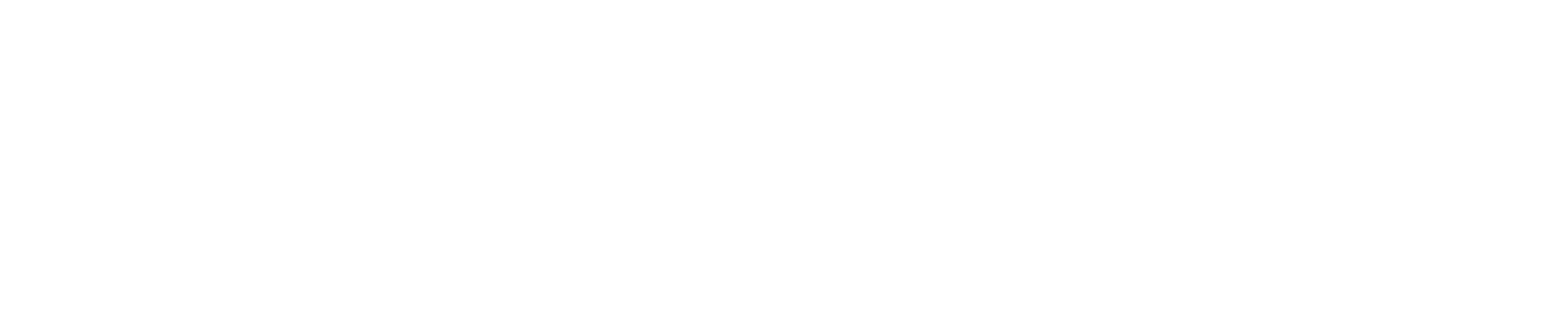   Avec Bagues aimantées en option